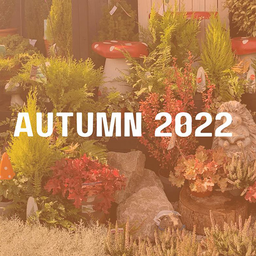 Autumn 2022
