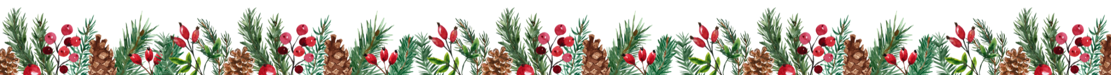 A border made up of seasonal Christmas berries, holly and foliage.