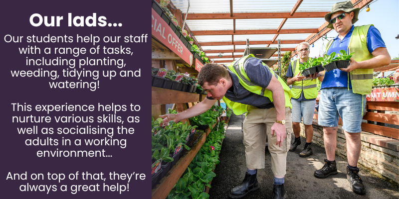 Our students help our staff with a range of tasks, including planting, weeding, tidying up and watering! 

This experience helps to nurture various skills, as well as socialising the adults in a working environment. 
