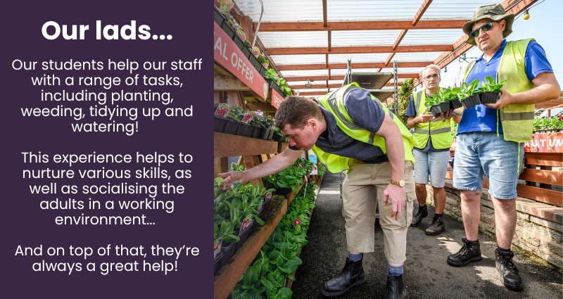 Our students help our staff with a range of tasks, including planting, weeding, tidying up and watering! 

This experience helps to nurture various skills, as well as socialising the adults in a working environment. 