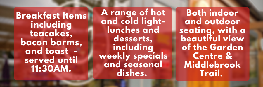 We serve a range of light lunches, breakfast items, snacks and cakes as well as our Italian-brand Kimbo Coffee.

