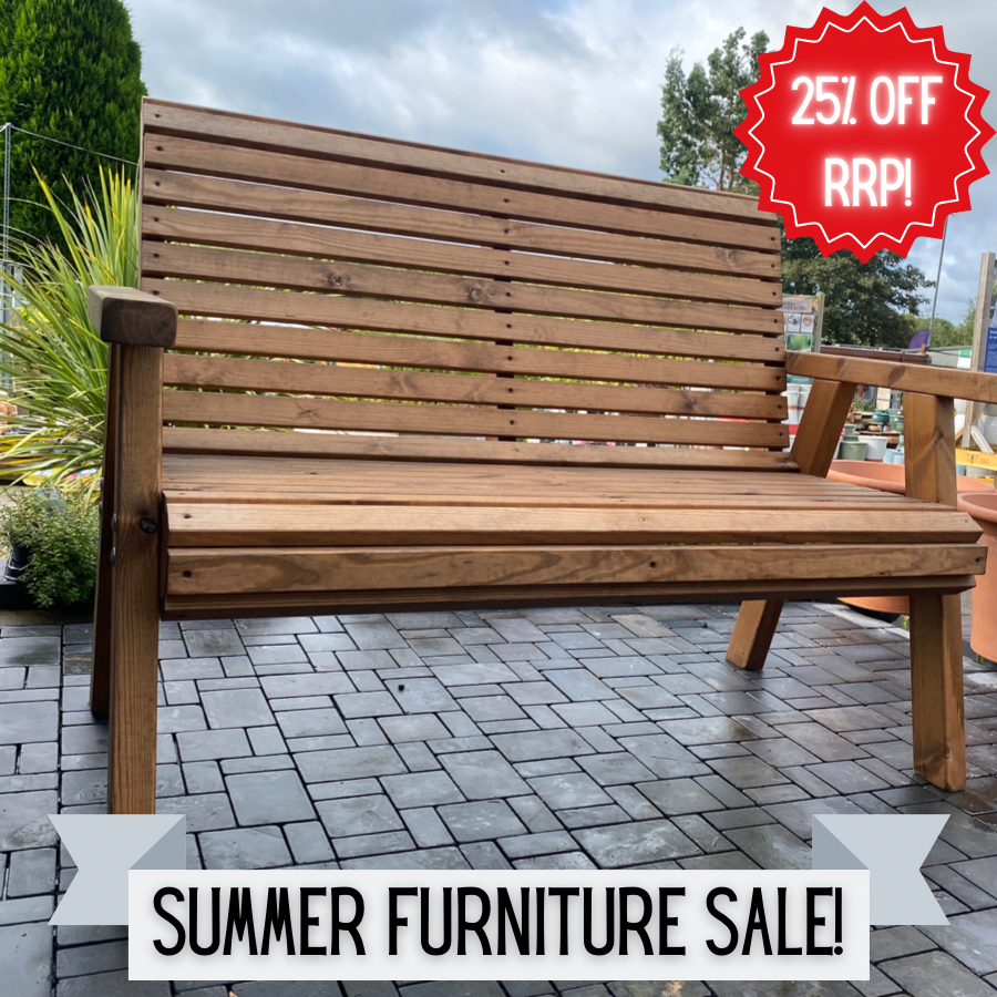 Summer 2023 Furniture Sale