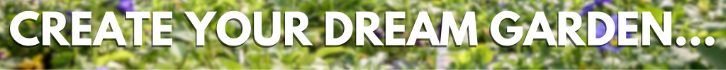 Create your dream garden!