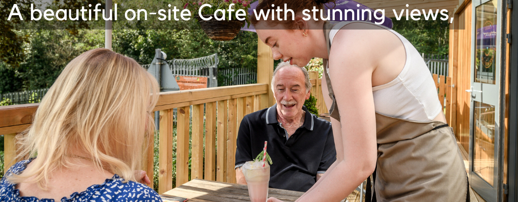 Picture of cafe staff serving. 