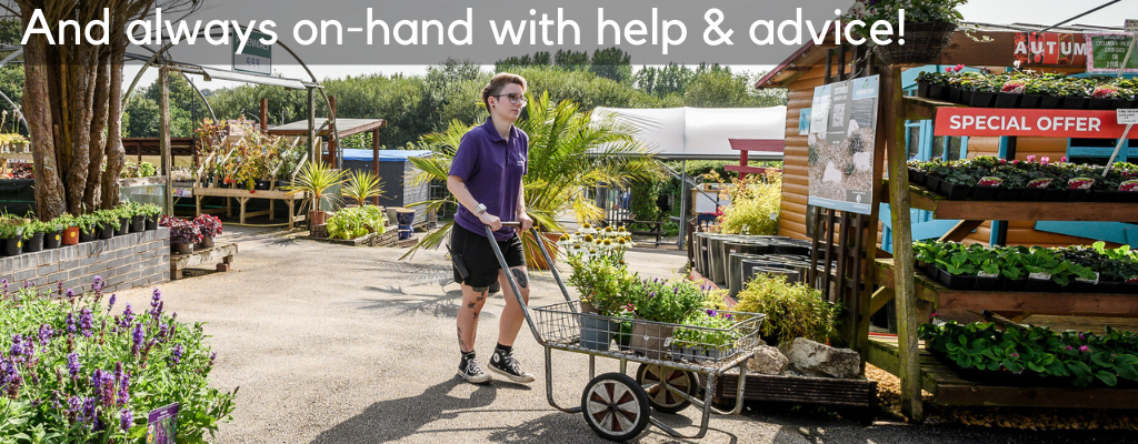 Heaton Fold Staff with a trolley. 