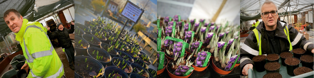 From left to right - Picture of 2 students planting bulbs, second picture is a table full of random assorted bulbs which the students planted, third is single-pot bulbs and fourth is a single student carrying a tray of freshly-planted bulbs. 