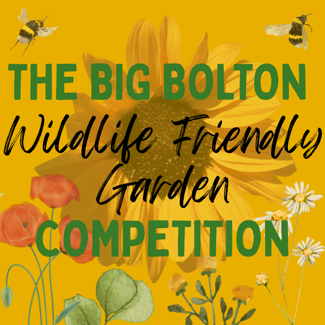 The Big Bolton Wildlife Friendly Garden Competition, from the Bolton Lever Rotary Club