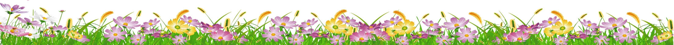 Flowers border