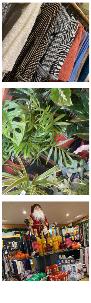 An arrangement of clothes, houseplants and various christmas gifts, chutneys and food. 