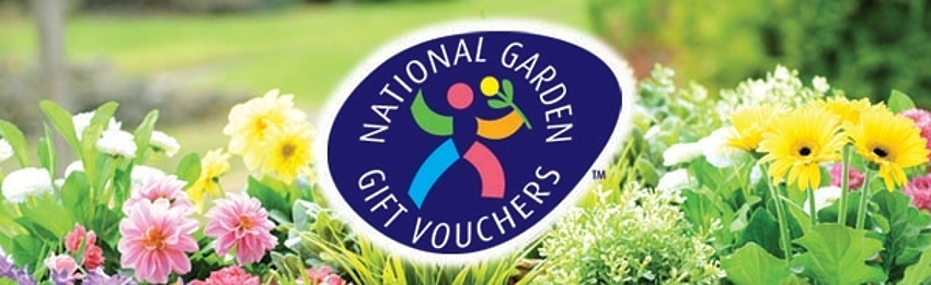 Gift vouchers